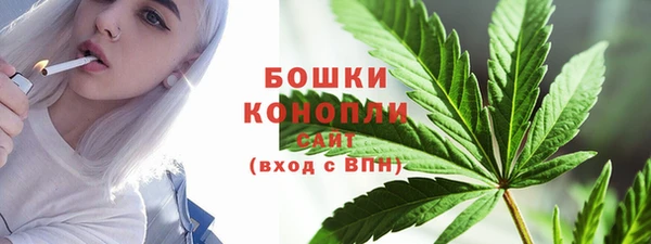 PSILOCYBIN Аркадак