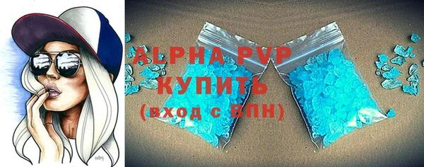 PSILOCYBIN Аркадак