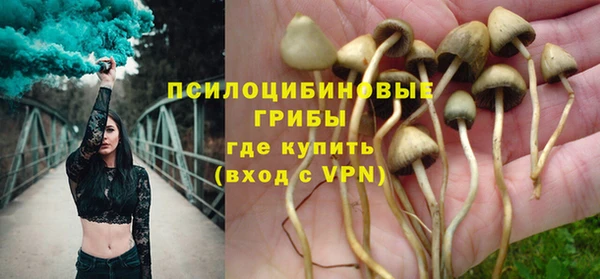 дурь Арсеньев