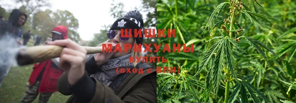 дурь Арсеньев
