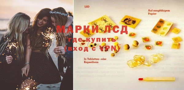 прущие грибы Армянск