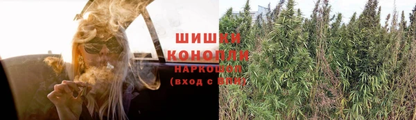 прущие грибы Армянск