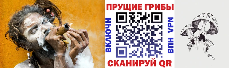 Купить закладки  Белоозёрский  Галлюциногенные грибы Psilocybe 