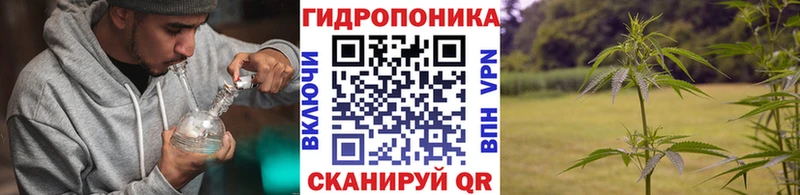 Шишки марихуана гибрид  Купить закладки  Белоозёрский 